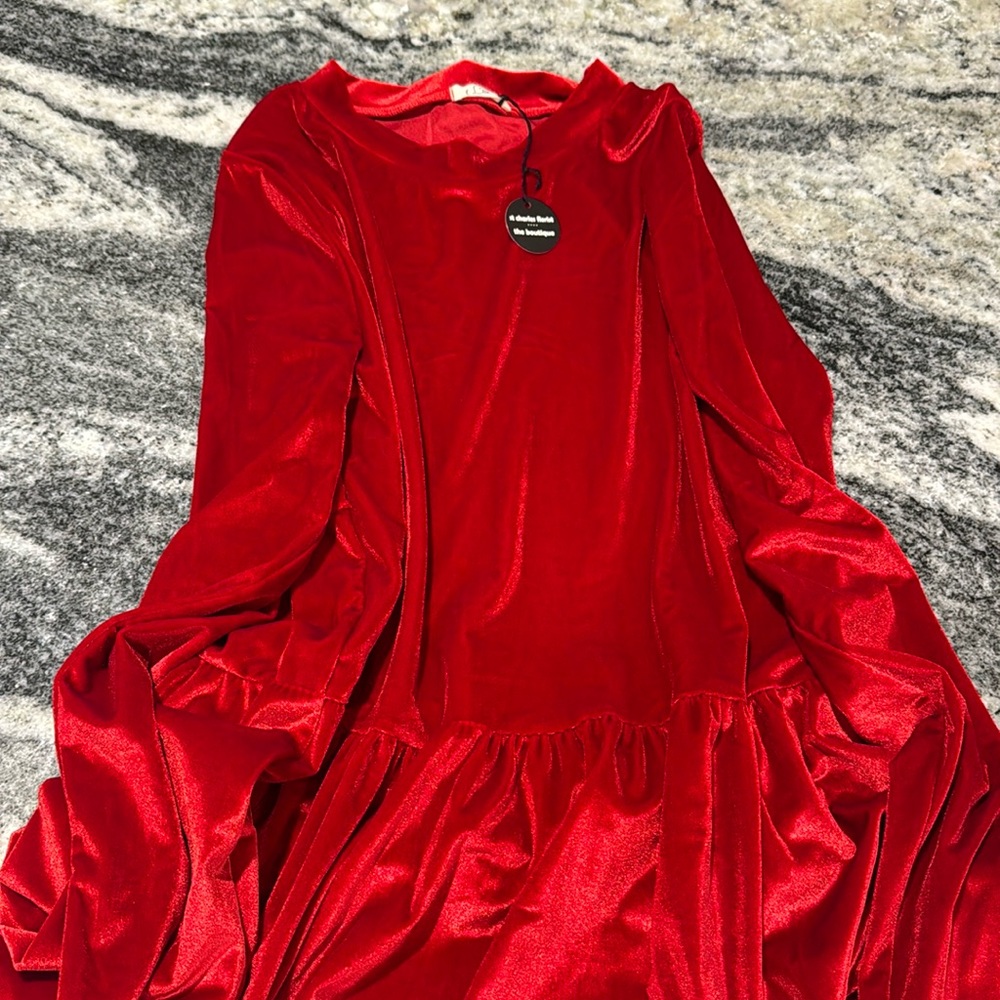 NWT velvet holiday tunic